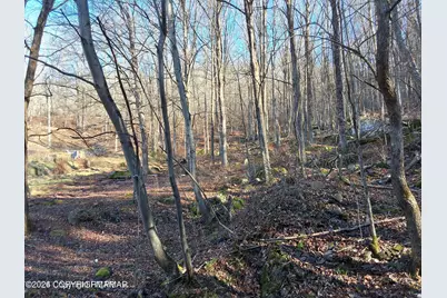  45 Grocery Hill Road, Equinunk, PA 18417 - Photo 41