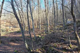 45 Grocery Hill Rd, Equinunk, PA 18417 - Photo 41