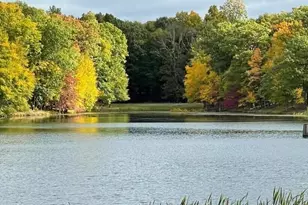 108 Pipher Rd, Bushkill, PA 18324 - Photo 49