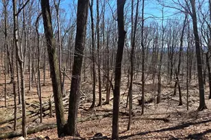 163 Hyland Dr, East Stroudsburg, PA 18301 - Photo 7