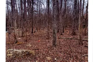 46 Gross Dr Dr, Pocono Pines, PA 18350 - Photo 1