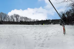 66 Cross Country Ln, Tannersville, PA 18372 - Photo 43