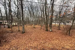 203 Foothill Rd, Albrightsville, PA 18210 - Photo 1