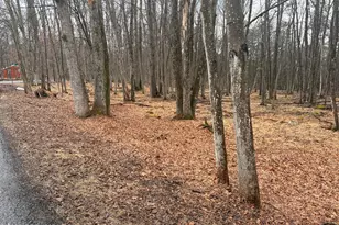 Lot 1 Masters Trail, Albrightsville, PA 18210 - Photo 1