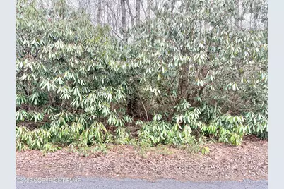  Lot 49A Susquehanna Drive, Jim Thorpe, PA 18229 - Photo 1