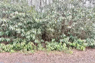 Lot 49A Susquehanna Dr, Jim Thorpe, PA 18229 - Photo 1