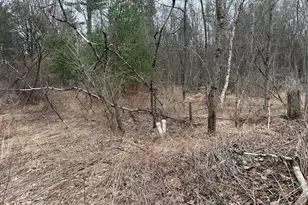 Creekview Rd, Kunkletown, PA 18058 - Photo 5