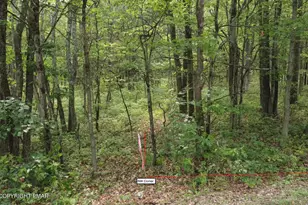 Cold Spring Dr, Jim Thorpe, PA 18229 - Photo 5