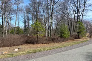 Wild Pines Dr 65A Dr, Long Pond, PA 18334 - Photo 1