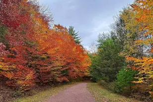 7648 Lake Shore Dr, Pocono Lake, PA 18347 - Photo 3