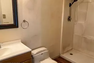 798 Towamensing Trail, Albrightsville, PA 18210 - Photo 7