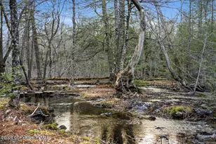 369 Sidney Ave, Pocono Summit, PA 18346 - Photo 3