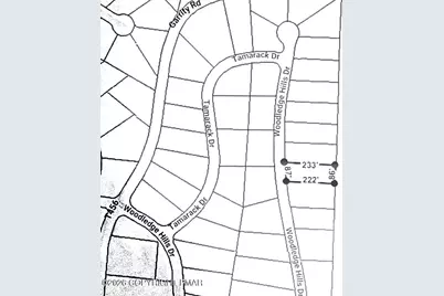  020 Woodledge Hills Drive, Hawley, PA 18428 - Photo 3