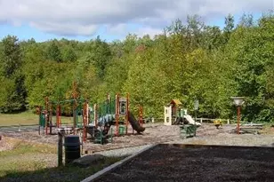 125 Big Bear Dr, Greentown, PA 18426 - Photo 71