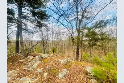  132 Willow Dell Drive, Dingmans Ferry, PA 18328 - Photo 5