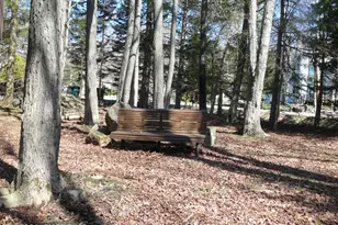 1148 Country Pl Dr, Tobyhanna, PA 18466 - Photo 3