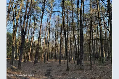  Twin Pine Rd 2, Stroudsburg, PA 18360 - Photo 5