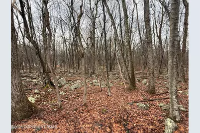  Lipo Way, Albrightsville, PA 18210 - Photo 1