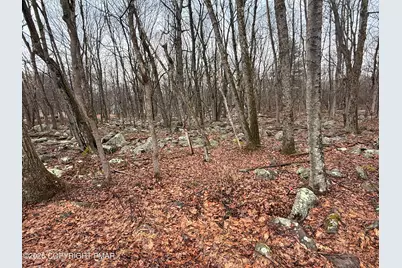  Lipo Way, Albrightsville, PA 18210 - Photo 3