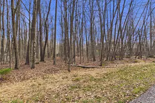 Croasdale Ct 22 Ct, Pocono Lake, PA 18347 - Photo 1