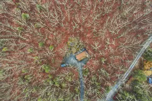 1596 Rt 590, Hawley, PA 18428 - Photo 43