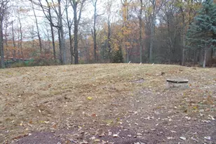 1241 Scotrun Dr, Scotrun, PA 18355 - Photo 35