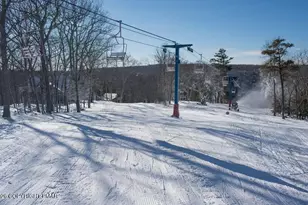 127 Dorchester Dr, Bushkill, PA 18324 - Photo 79