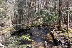 796 Towamensing Trail, Albrightsville, PA 18210 - Photo 15