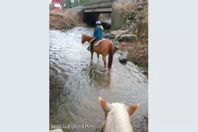  9069 Idlewild Drive, Tobyhanna, PA 18466 - Photo 41