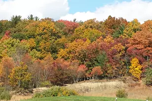 624 Marion Ln, Brodheadsville, PA 18322 - Photo 53