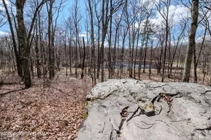 141 Wild Meadow Dr, Milford, PA 18337 - Photo 17