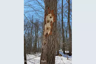  1414 State Route 940, Kidder, PA 18610 - Photo 45