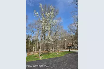  290 King Arthur Road, Pocono Lake, PA 18347 - Photo 9