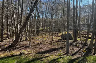 N Lehigh River Dr, Covington Township, PA 18424 - Photo 1