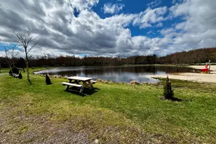 268 Berry Ln, Pocono Lake, PA 18347 - Photo 99