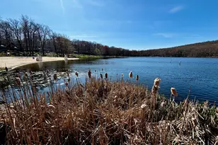 268 Berry Ln, Pocono Lake, PA 18347 - Photo 85
