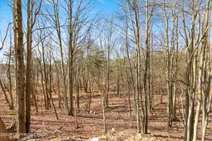 102 Eagle View Run, Long Pond, PA 18334 - Photo 25