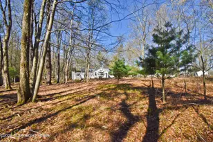 326 Ginger Ln, East Stroudsburg, PA 18301 - Photo 21