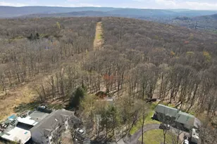3116 Woodland Ct, Bushkill, PA 18324 - Photo 49