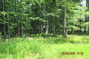 White Oak Dr 8, Tannersville, PA 18372 - Photo 1