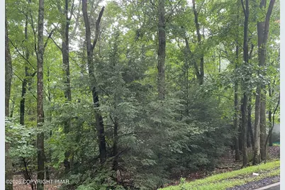  1313 Lenape Trail, Albrightsville, PA 18210 - Photo 3