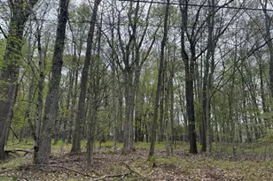 6 Paiute Path, Pocono Lake, PA 18347 - Photo 1