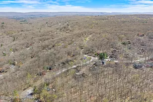 109 Luton Ct, Bushkill, PA 18324 - Photo 79