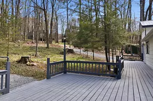154 Ski Trail, Pocono Lake, PA 18347 - Photo 65