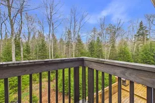 310 Selig Rd, Pocono Lake, PA 18347 - Photo 47