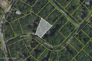 113 Netcong Cir, Pocono Lake, PA 18347 - Photo 47