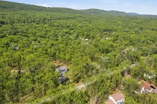 191 Squirrelwood Ct, Effort, PA 18330 - Photo 45