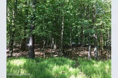  Lot 615 Locust Lane, Pocono Lake, PA 18347 - Photo 1