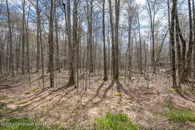  Lot 87 Pioneer Trail, Pocono Pines, PA 18350 - Photo 3