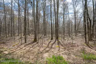 Lot 87 Pioneer Trail, Pocono Pines, PA 18350 - Photo 3